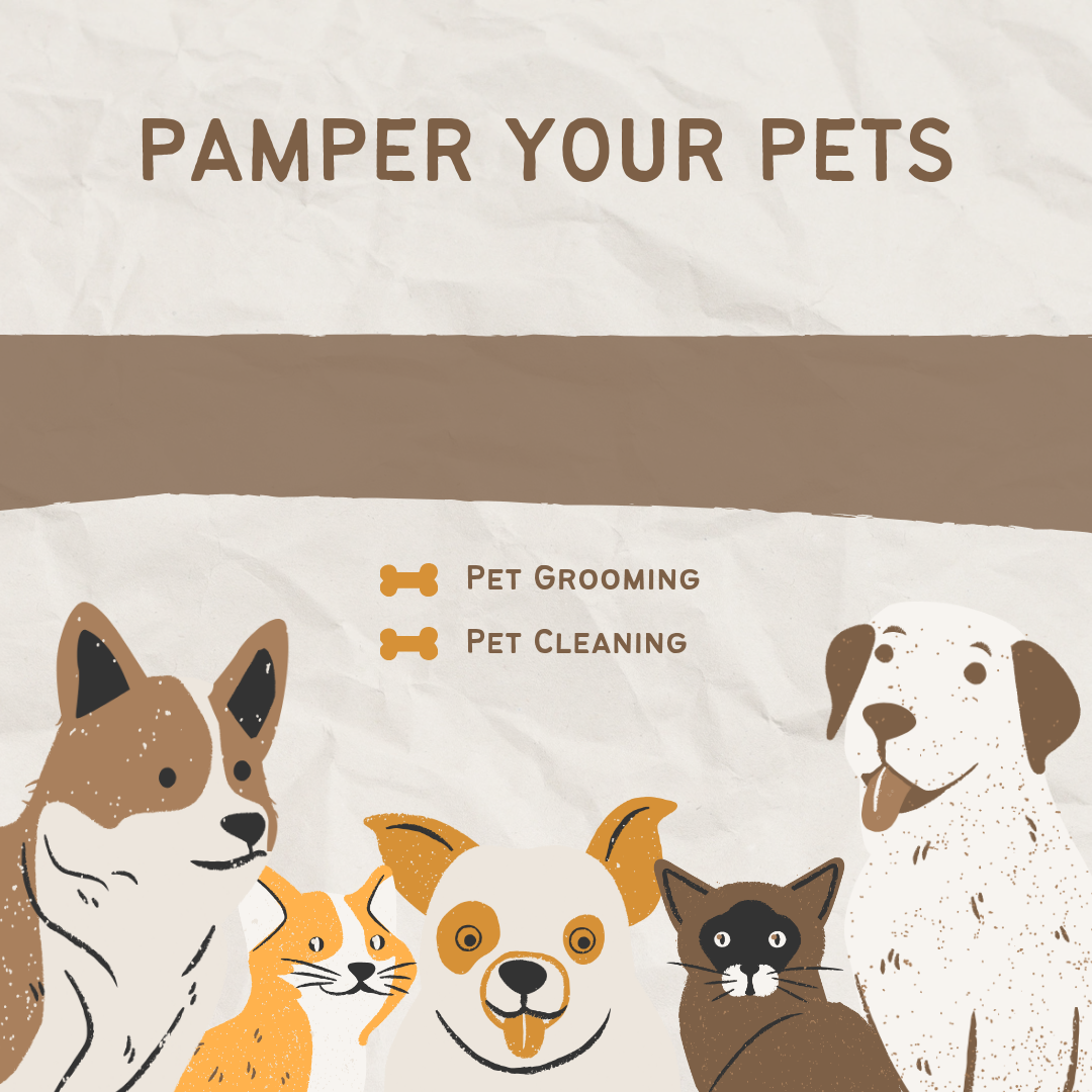 Pet Care Products