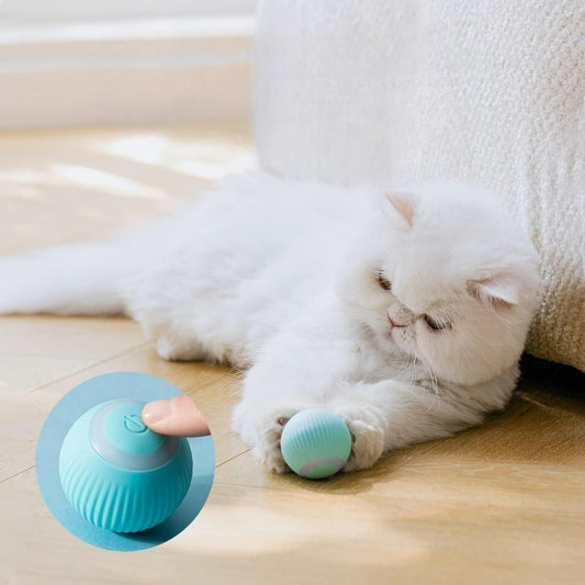 Rotating Interactive Pet Toy