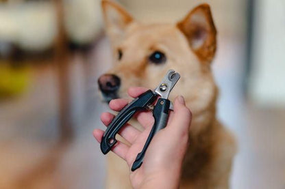 Dog Nail Cutter